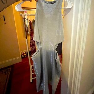 Express Silver Dress